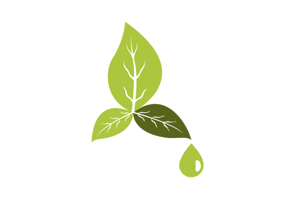 Unlocking the Magic of Perfume Oils: Why You Should Make the Switch 3 Perfume oils environment, friendly, eco-3420054.jpg